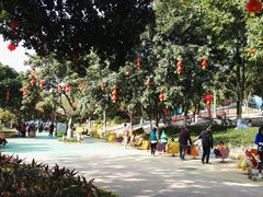 -天河儿童公园