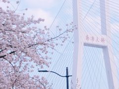 -南浦大桥长途旅游客运站