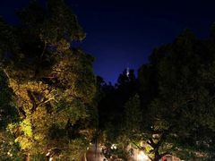 -二沙岛艺术公园