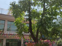 -何适山庄 ·可团建(水长城P2停车场店)