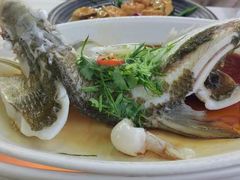 -八仔大富楼·河鲜(西江店)
