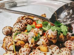 冰镇花螺-阿拉斯加·海货(马王堆店)