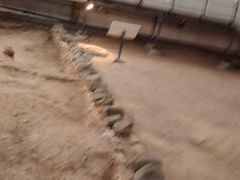 -南越王博物院(王宫展区)