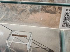 -中国第四纪冰川遗迹陈列馆