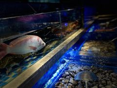 -奢谷·海鲜自助(南海万科店)