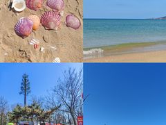 -养马岛旅游度假区