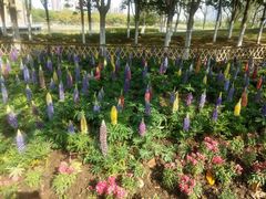 -白塘生态植物园