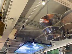 -探窝·竹笙椰子鸡(杨箕店)