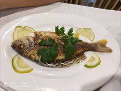 黄墙鱼-廣味潮鲜·一品潮滋味(五道口店)