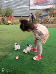 -萌宠亲子动物乐园(槐房万达店)