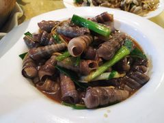 -莲花公园煎蟹(总店)