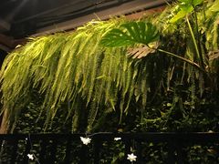 -HOME餐厅粤菜 融合菜