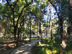 -长春市南湖公园