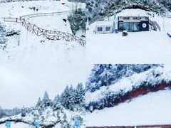 -龙苍沟森林公园