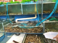 水产区-蟹谢蒸鲜自助餐厅