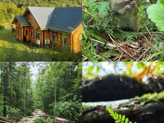 -五营红松林海景区