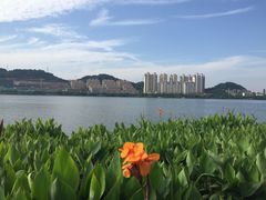 -团城山公园