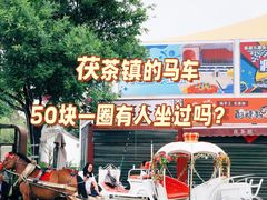 -茯茶镇