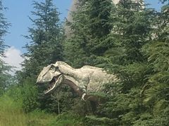 -世界恐龙谷景区