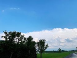 -龙子湖迎宾馆·宴会