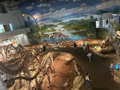 -自贡恐龙博物馆