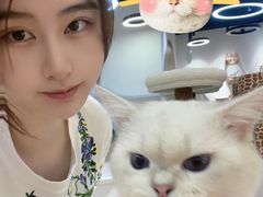 -COLOR PETS 撸猫馆·购猫·猫咖(长风大悦城店)