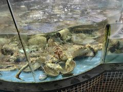 -明珠海港大酒店