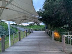 -企鹅岛