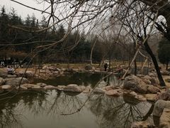 -郑州植物园