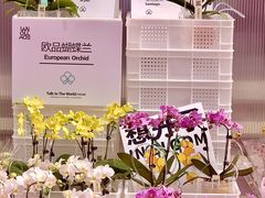 -王府井百货(总府店)