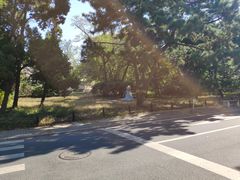 -八大关景区