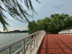 -大兴滨河森林公园