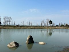 -苏州湾·王焰温泉