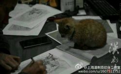 android_upload_pic-汉刺青TATTOO STUDIO