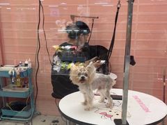-FAELING PETS美天灵宠物(合生汇店)