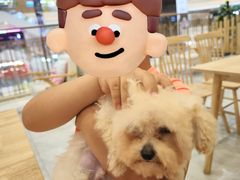 -柴犬小屋·柴餐厅·狗咖食堂(金鼎广场店)