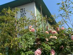 -杭州观成实验学校