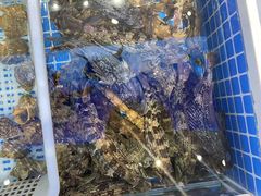 -大锅强·蒸海鲜青岛菜(吾悦广场店)