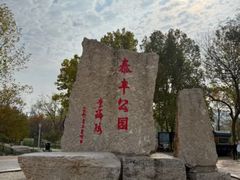 -泰丰公园