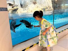 -帝企鹅自助餐厅•儿童岛•真企鹅(长隆企鹅酒店)