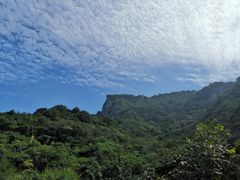 -神农山景区