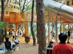 -东湖落雁景区