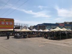 -中环花鸟鱼虫市场