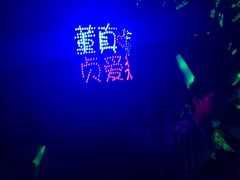 -南京奥林匹克体育中心-体育馆