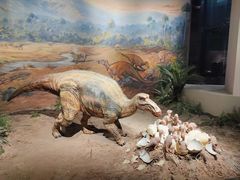 -自贡恐龙博物馆