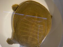 -芳·宴江南(范家路店)