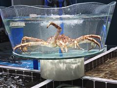 -巧克力渔家.小船海鲜胶东菜(万平口店)