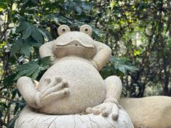 -天目湖涵田半山温泉