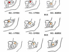 -同济大学附属口腔医院