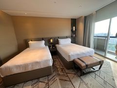 -新加坡瑞士史丹福酒店